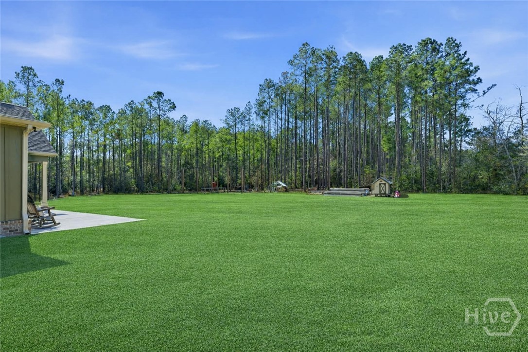 3583 Blue Jay Road Guyton, GA 31312 - Photo 27 of 34