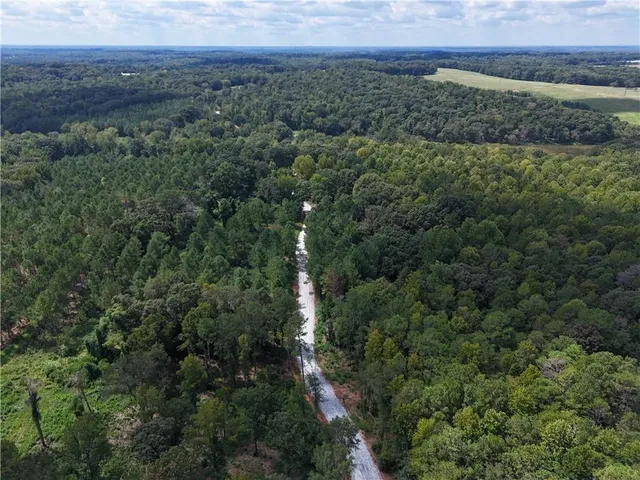 a view of a field with a forest