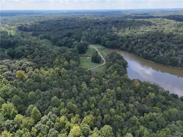 an aerial view of forest