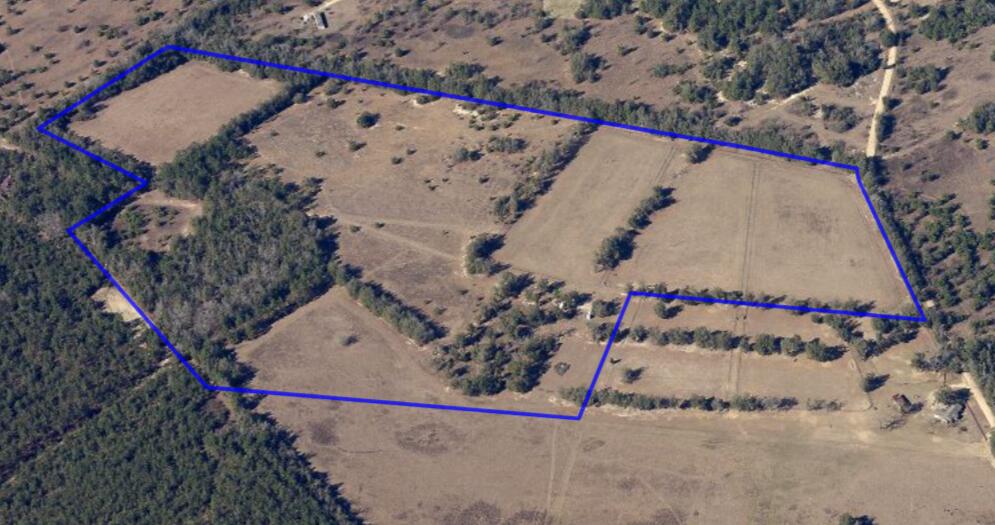 O Stonemint Drive Springfield, SC 29146 - Photo 2 of 8