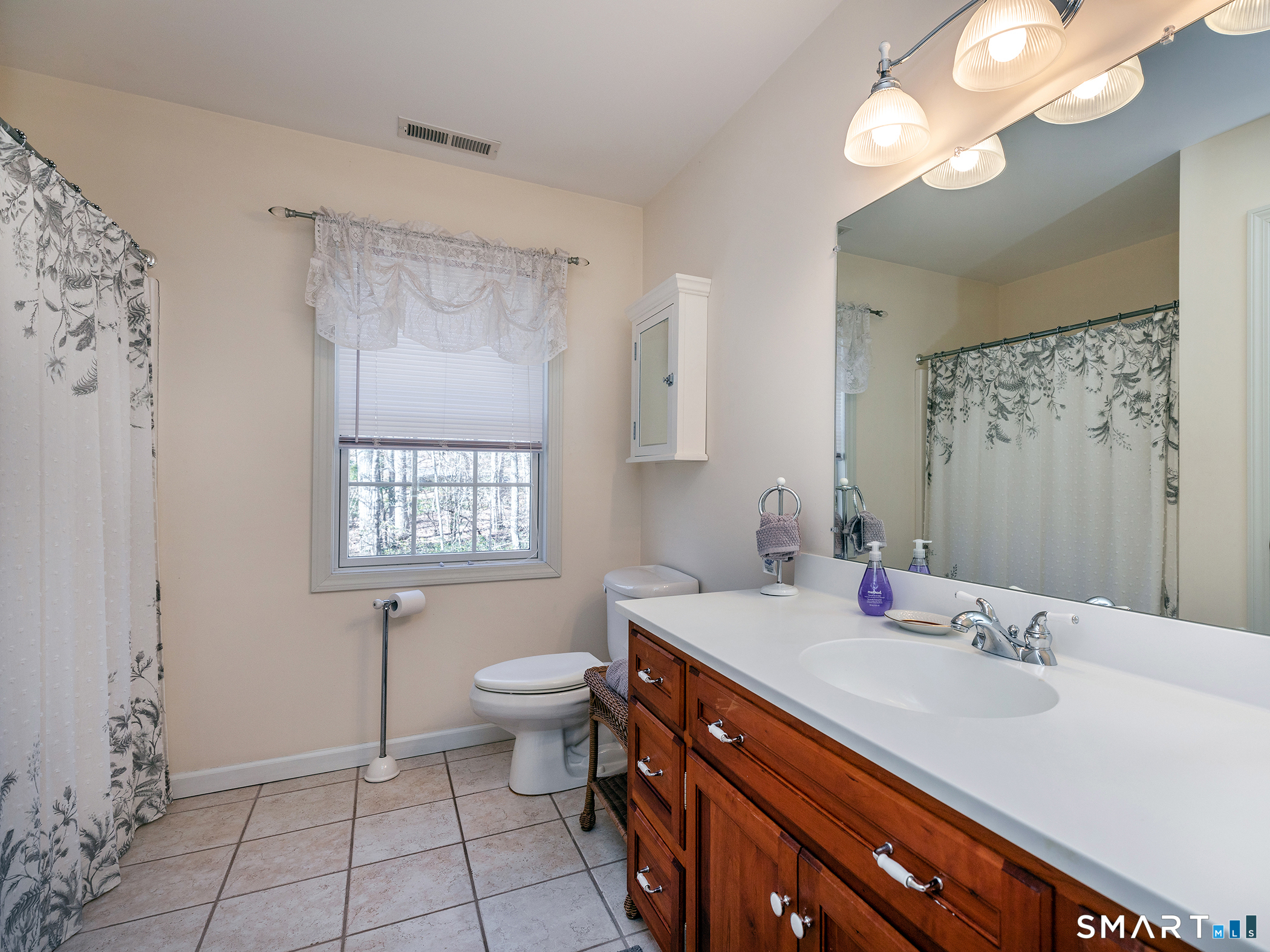 3 Weldon Court Goshen, CT 06756 - Photo 27 of 38 a bathroom with a sink a toilet a mirror and shower