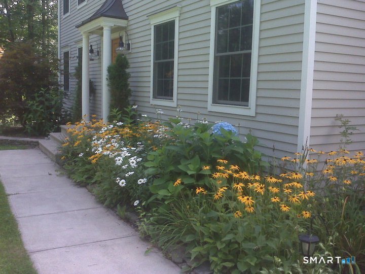 3 Weldon Court Goshen, CT 06756 - Photo 6 of 38 a plant that is in front of a house