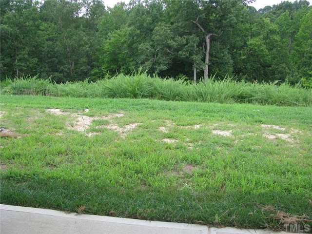 6328 Slopeside Court Raleigh, NC 27610 - Photo 18 of 18 View from Patio