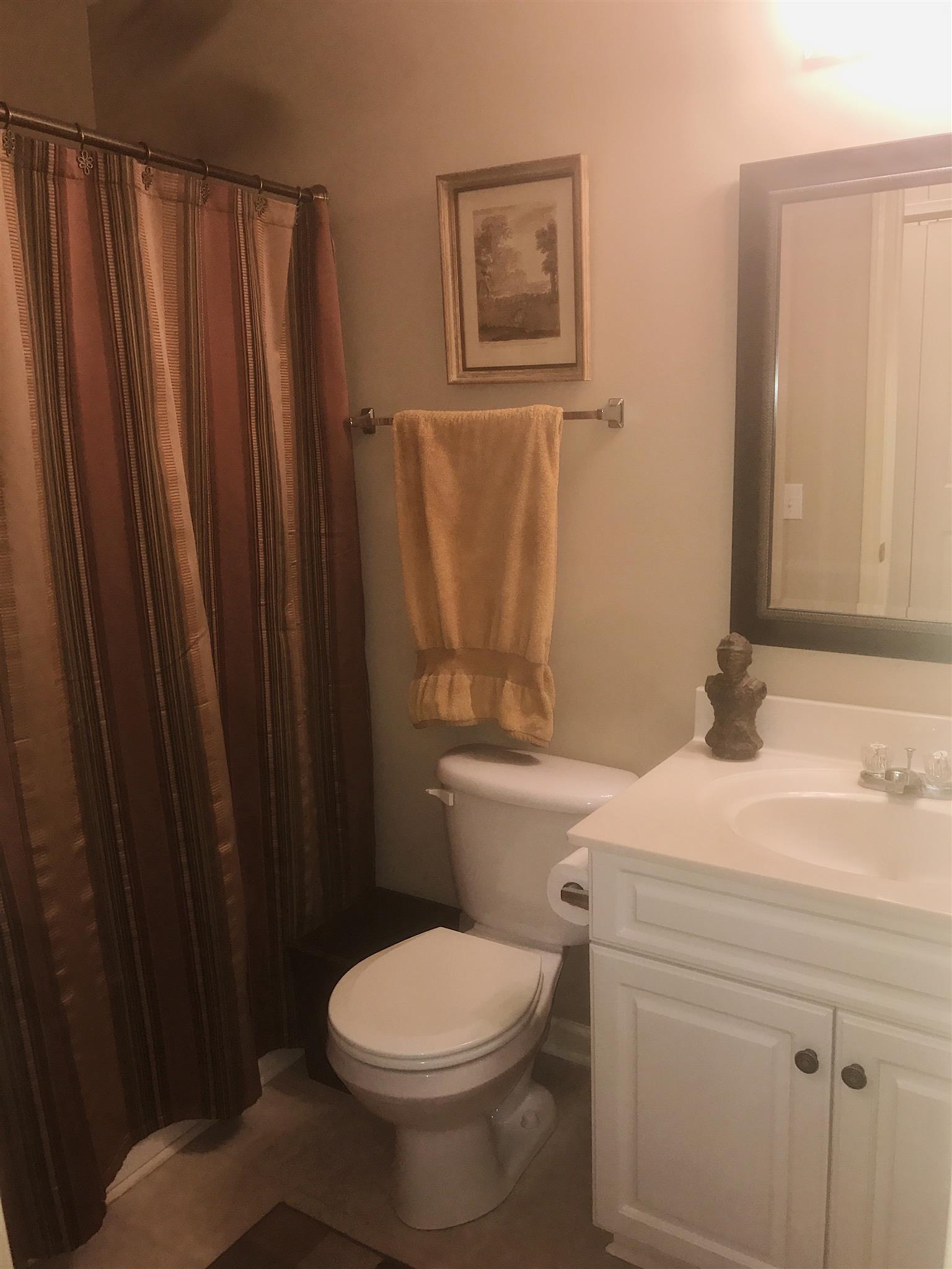 729 Crescent Road Murfreesboro, TN 37128 - Photo 13 of 15 a bathroom with a sink a toilet and shower curtain