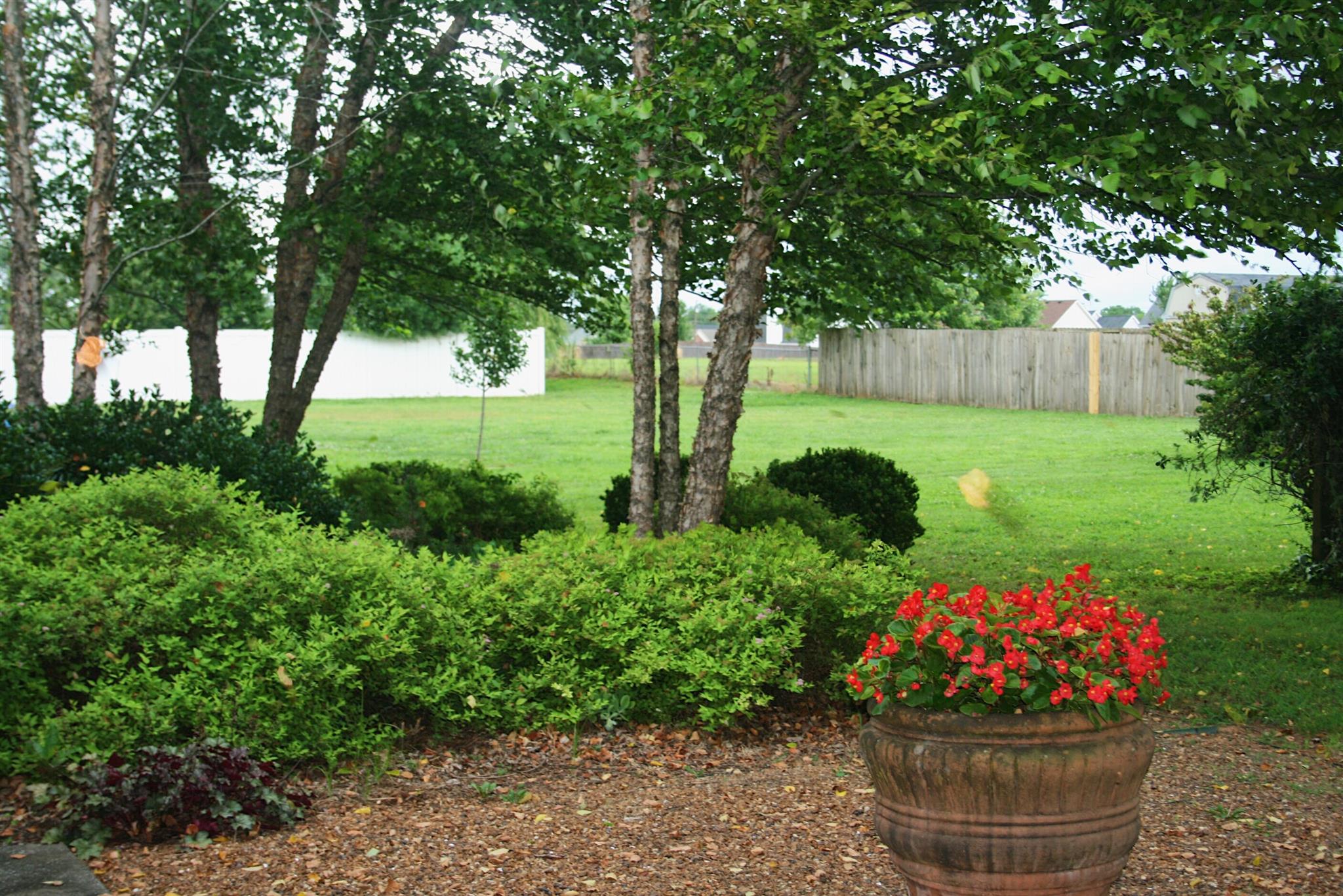 729 Crescent Road Murfreesboro, TN 37128 - Photo 14 of 15 a view of a garden with flowers and trees