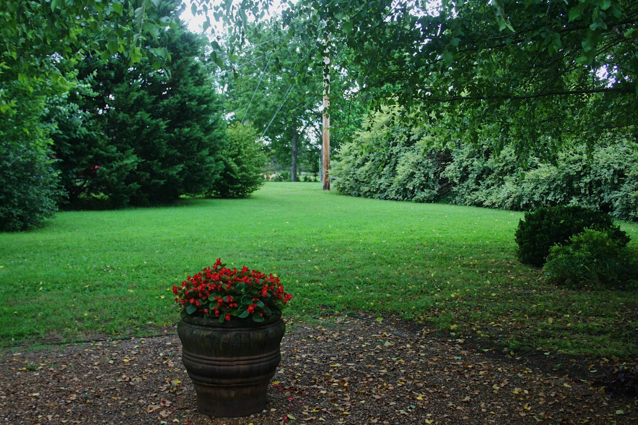 729 Crescent Road Murfreesboro, TN 37128 - Photo 15 of 15 a garden view with a seating space