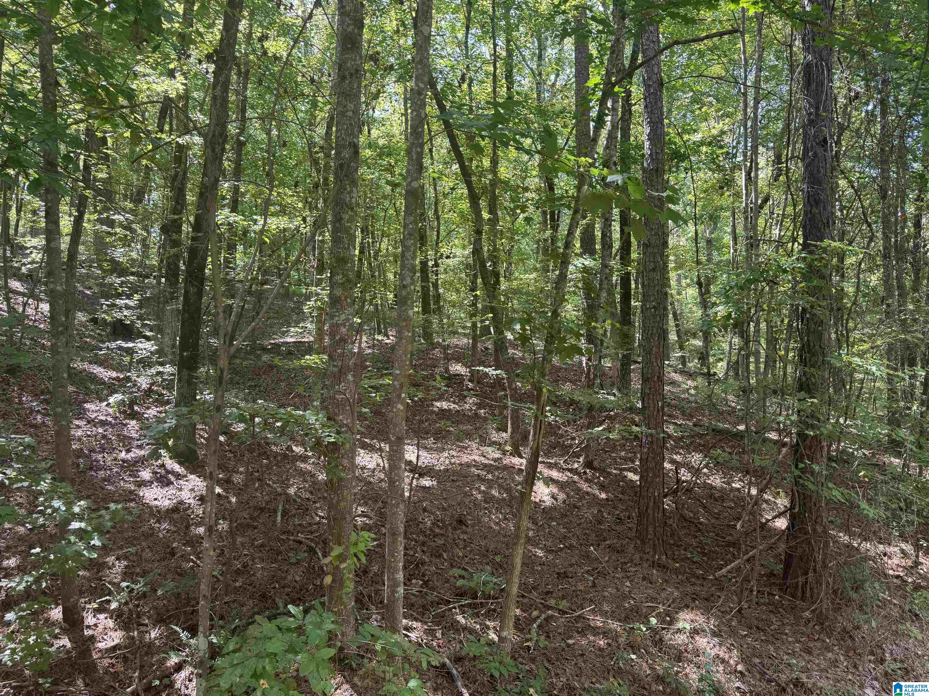 85 Mohawk Court, Unit 22 Ohatchee, AL 36271 - Photo 25 of 37