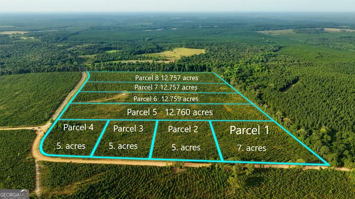Parcel 6 Carl Rodgers Road Reynolds, GA 31076 - Photo 1 of 1 Gallery Image 1