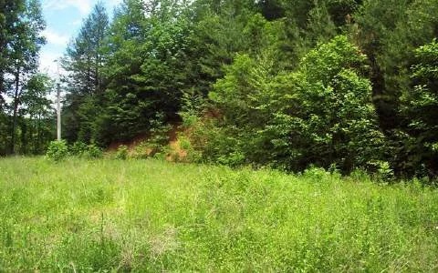 44 Dinkins Creek Road Murphy, NC 28906 - Photo 6 of 7 Additional View
