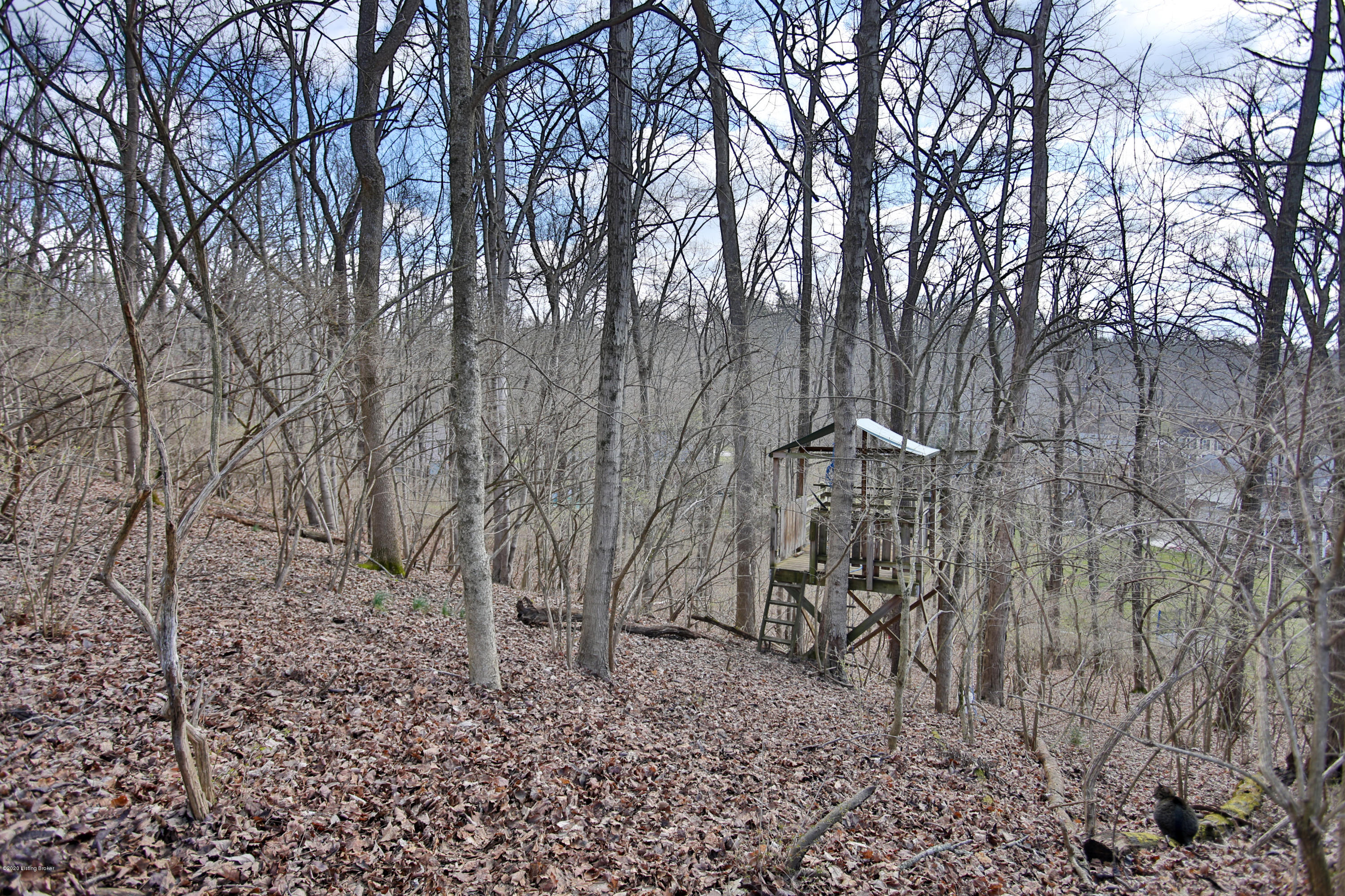 1811 Round Ridge Road Louisville, KY 40207 - Photo 50 of 58 1-57