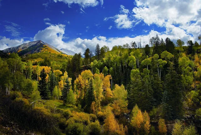 a view of a building