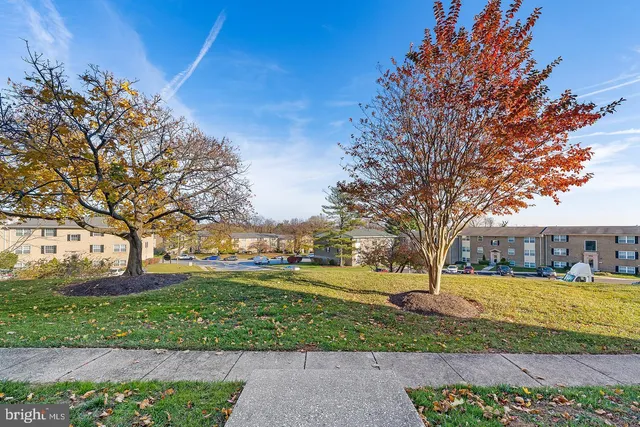 a view of a yard with a fountain