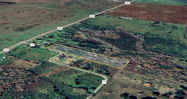 a view of a garden with a yard