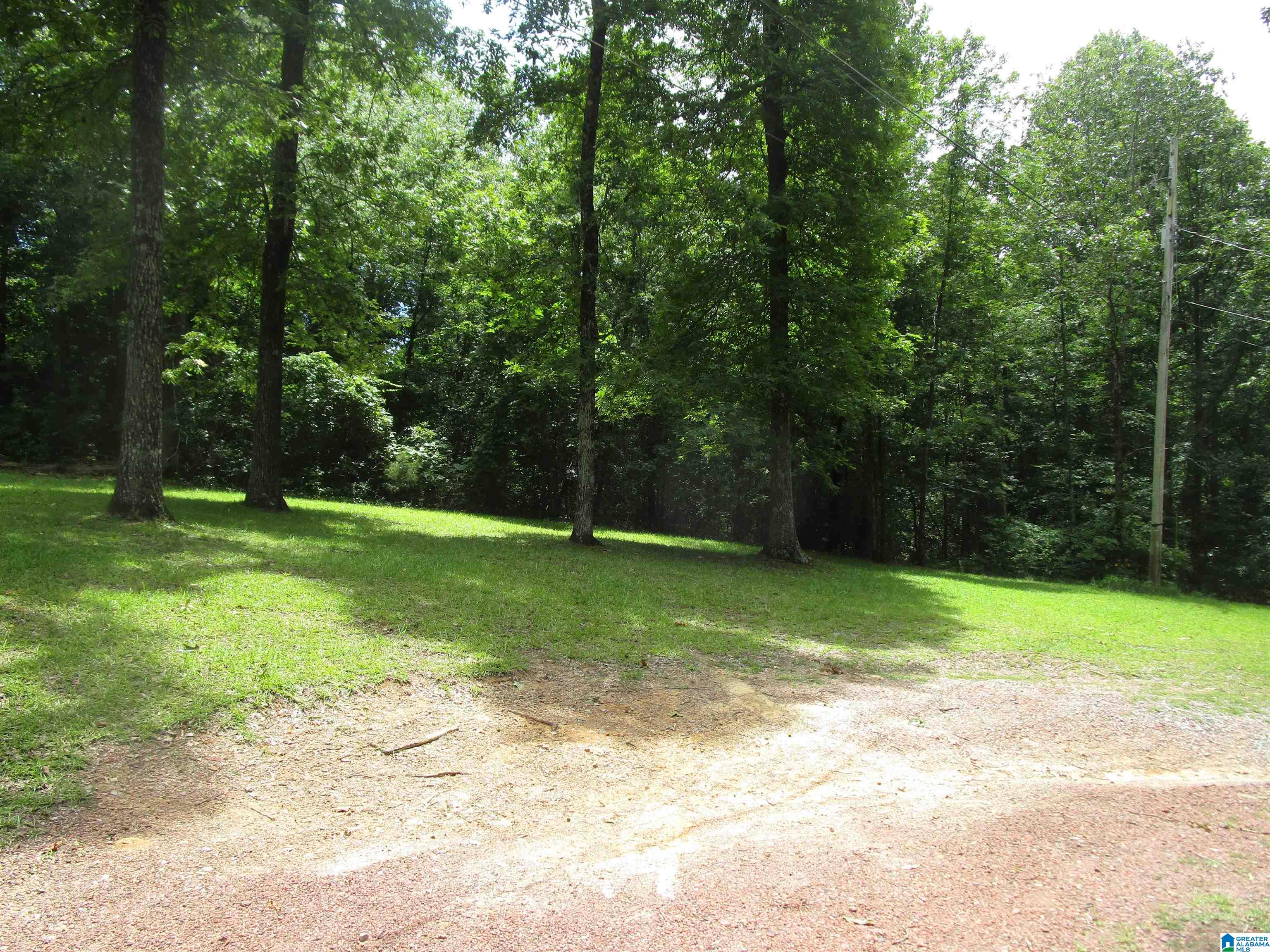 191 Shady Hill Road Warrior, AL 35180 - Photo 4 of 34