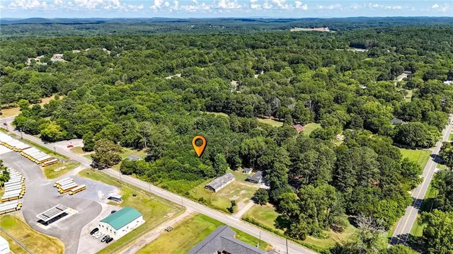a view of a lush green forest with lots of trees