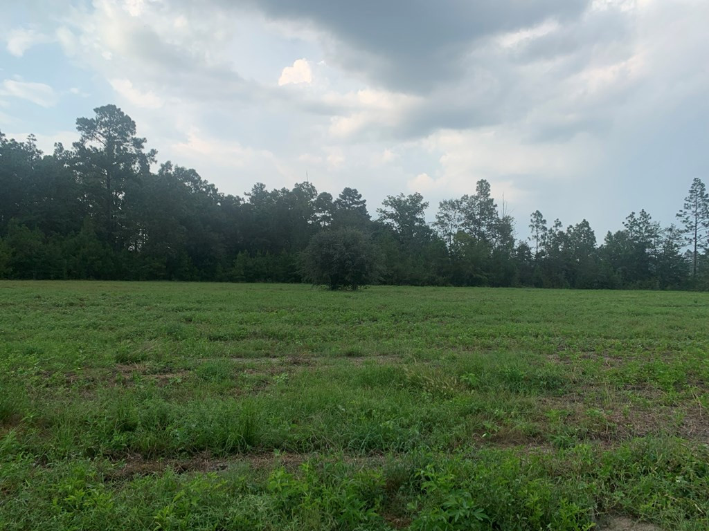Tbd Tolt Trail Aiken, SC 29801 - Photo 9 of 14