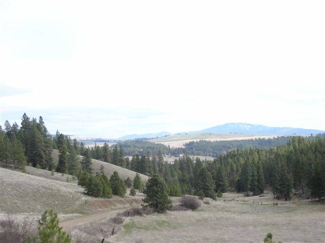 1421 East Miller Road Spokane, WA 99224 - Photo 2 of 4
