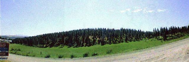 1421 East Miller Road Spokane, WA 99224 - Photo 3 of 4