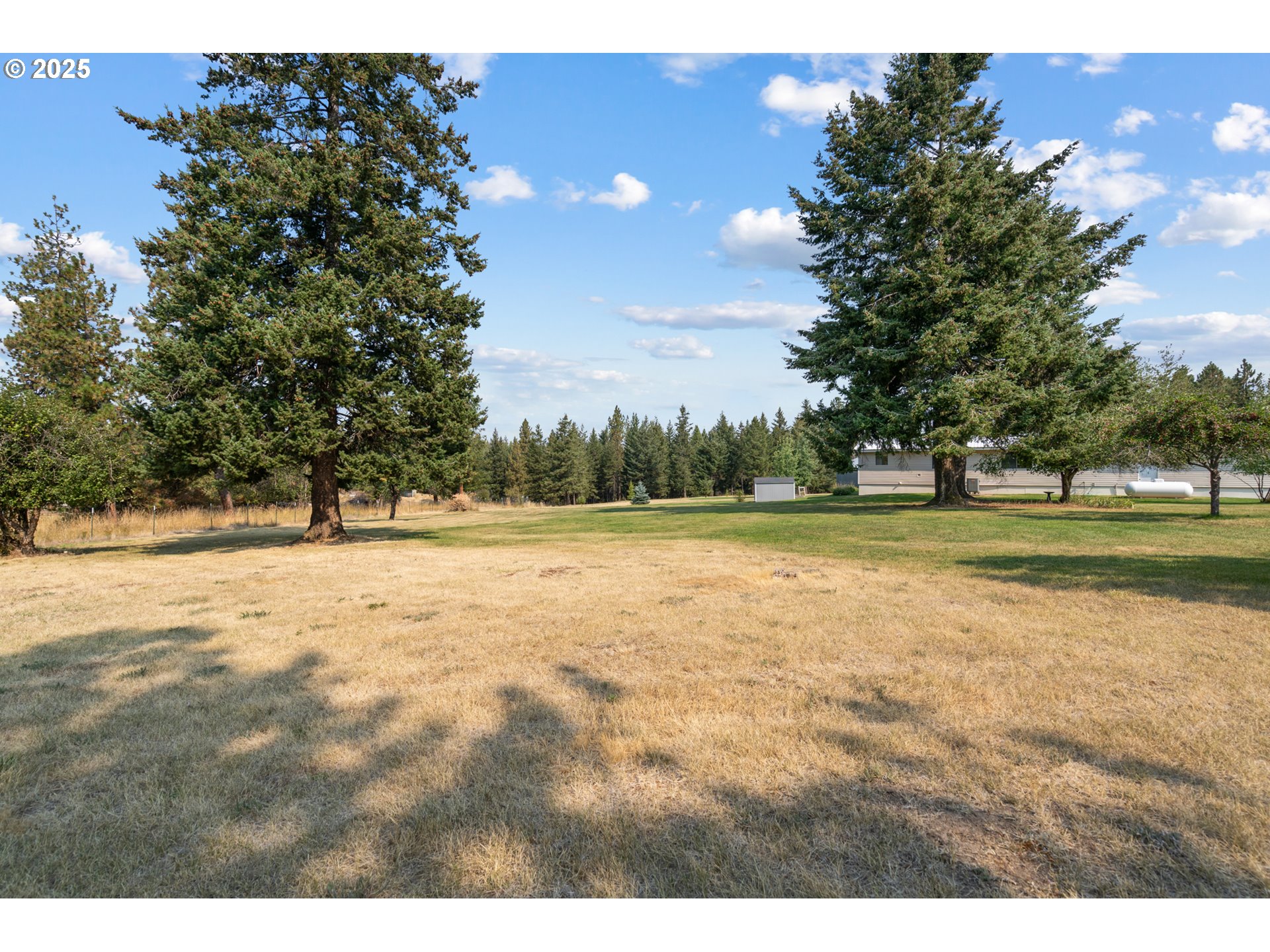 49414 County 1028 Road Pendleton, OR 97801 - Photo 38 of 46 a view of outdoor space with trees
