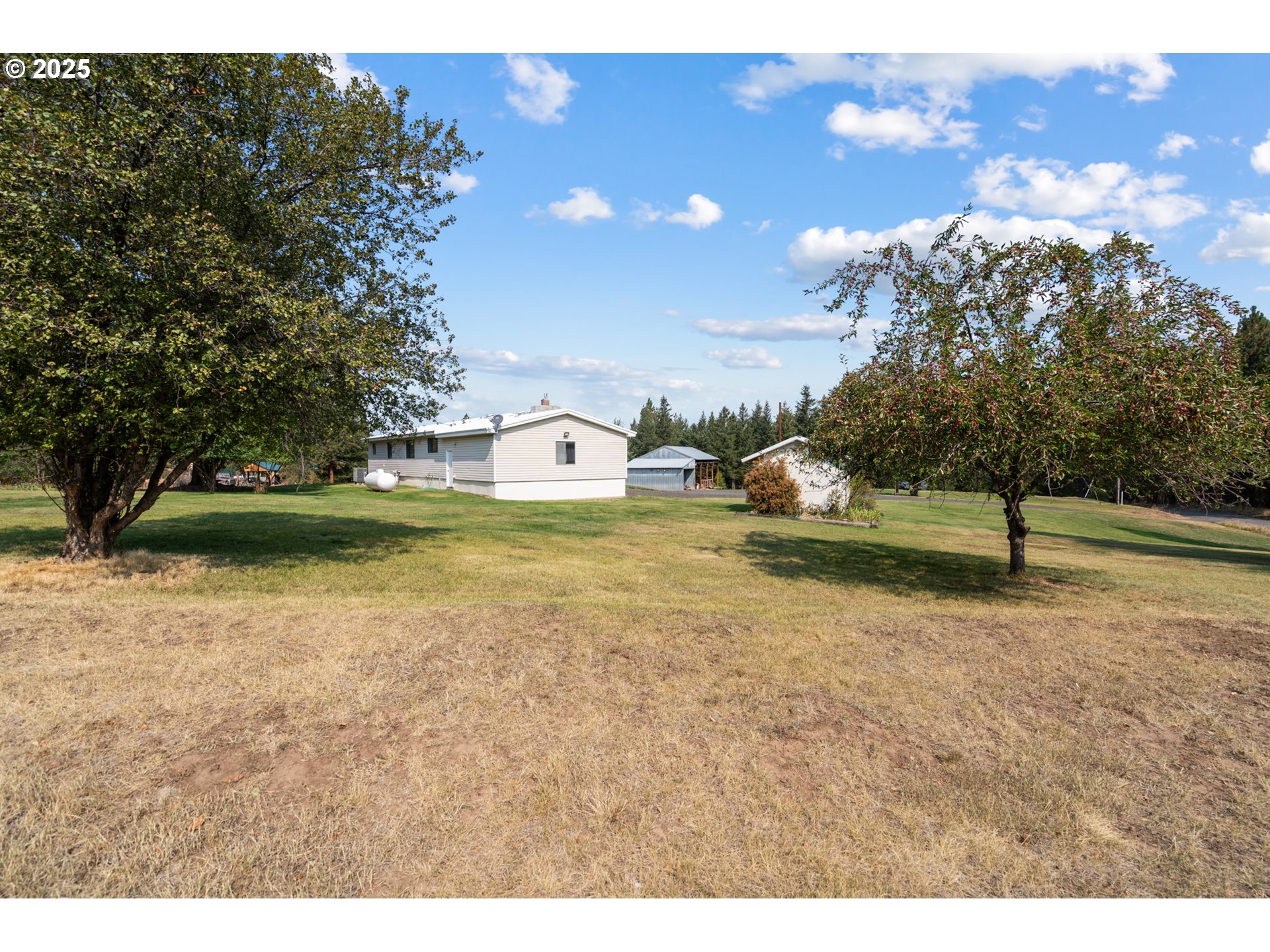 49414 County 1028 Road Pendleton, OR 97801 - Photo 39 of 46 a view of a outdoor space