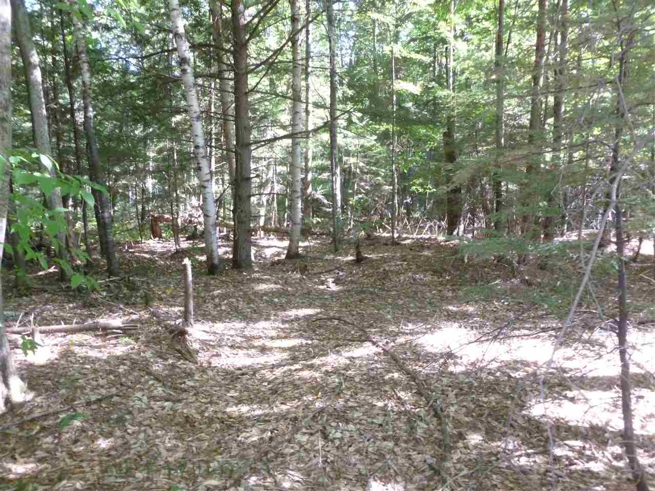 31 Mt Shaw Road, Unit 161 Ossipee, NH 03864 - Photo 1 of 6 Gallery Image 1