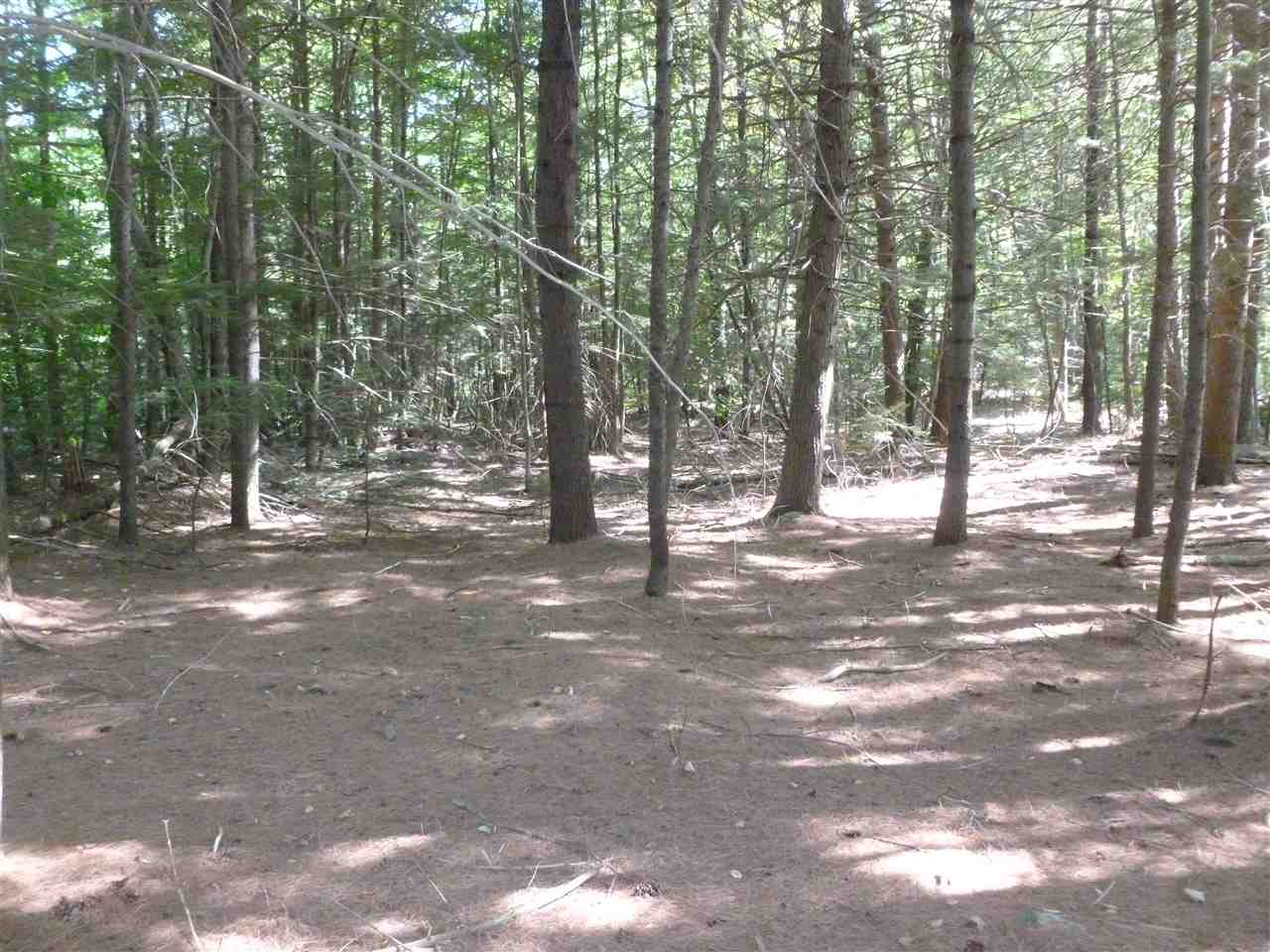 31 Mt Shaw Road, Unit 161 Ossipee, NH 03864 - Photo 2 of 6 Gallery Image 2