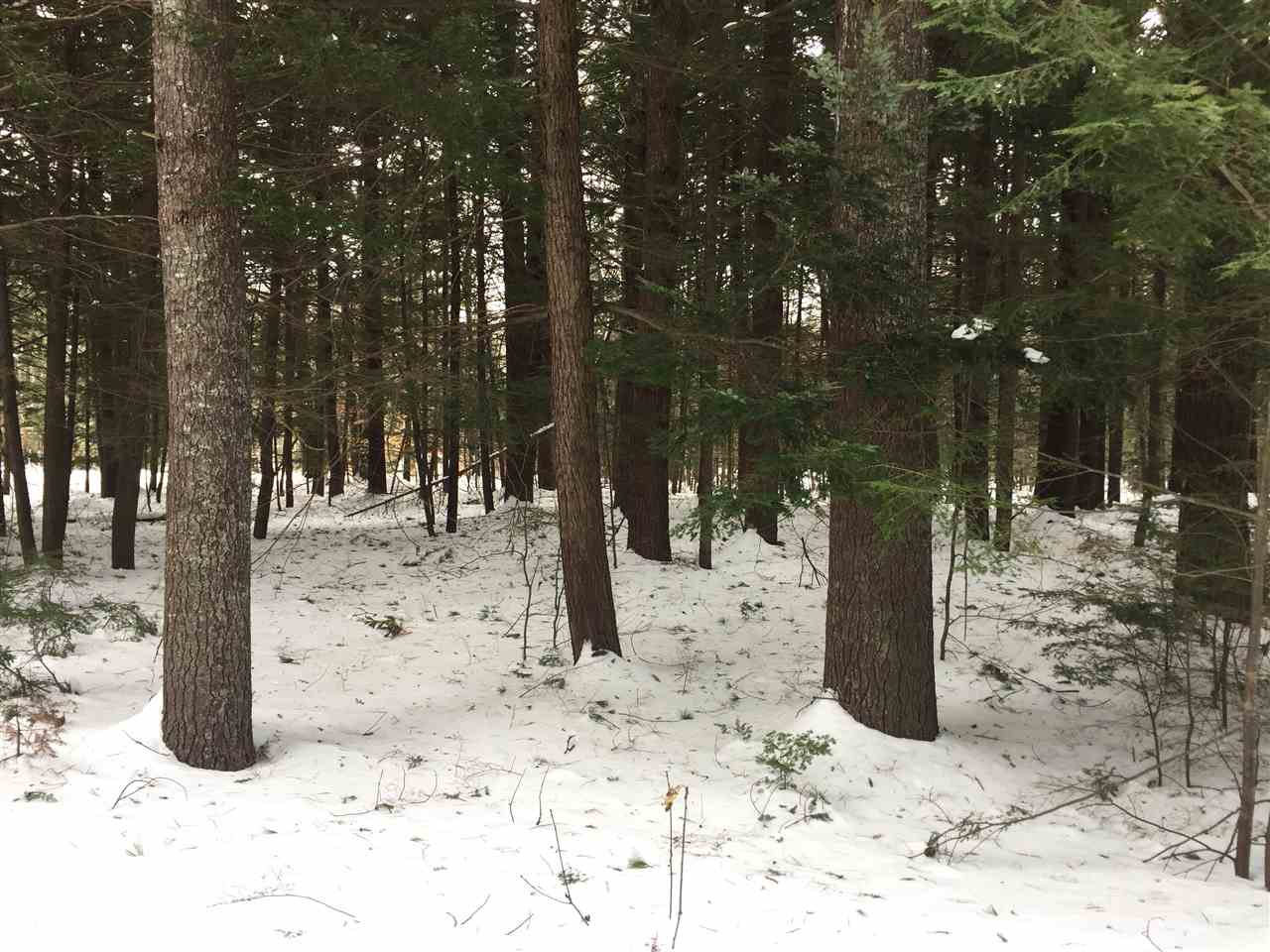 31 Mt Shaw Road, Unit 161 Ossipee, NH 03864 - Photo 5 of 6 Gallery Image 5