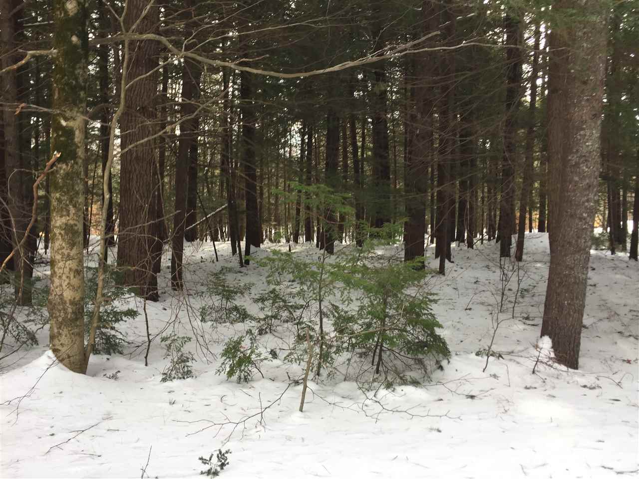 31 Mt Shaw Road, Unit 161 Ossipee, NH 03864 - Photo 6 of 6 Gallery Image 6