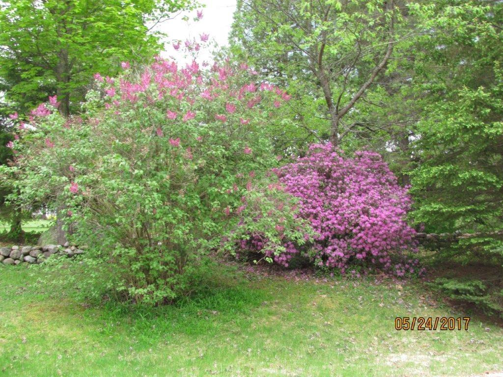 151 Hall Hill Road Rumford, ME 04276 - Photo 26 of 29 Photo