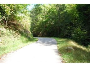 668 Pippin Hollow Road Erwin, TN 37650 - Photo 11 of 12 Photo 11