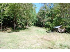 668 Pippin Hollow Road Erwin, TN 37650 - Photo 12 of 12 Photo 12