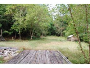 668 Pippin Hollow Road Erwin, TN 37650 - Photo 7 of 12 Photo 7