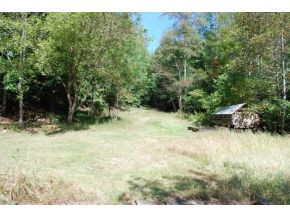 668 Pippin Hollow Road Erwin, TN 37650 - Photo 8 of 12 Photo 8