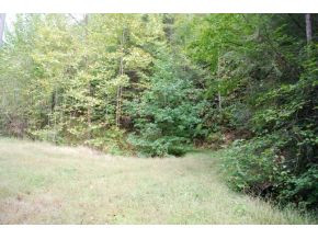 668 Pippin Hollow Road Erwin, TN 37650 - Photo 9 of 12 Photo 9