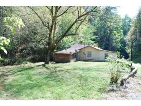 668 Pippin Hollow Road Erwin, TN 37650 - Photo 10 of 12 Photo 10