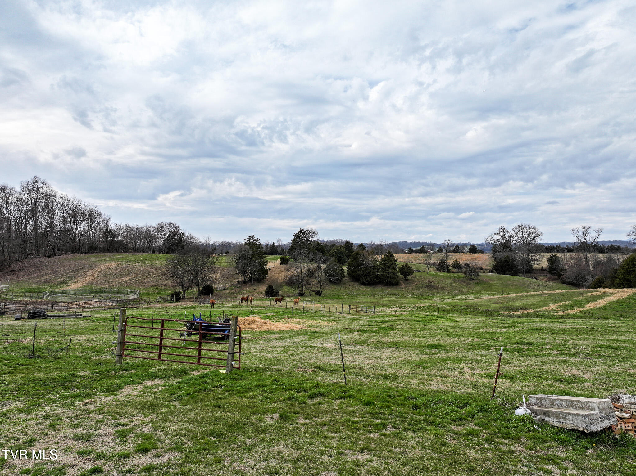 34-37 Culver Road Limestone, TN 37681 - Photo 22 of 25 20