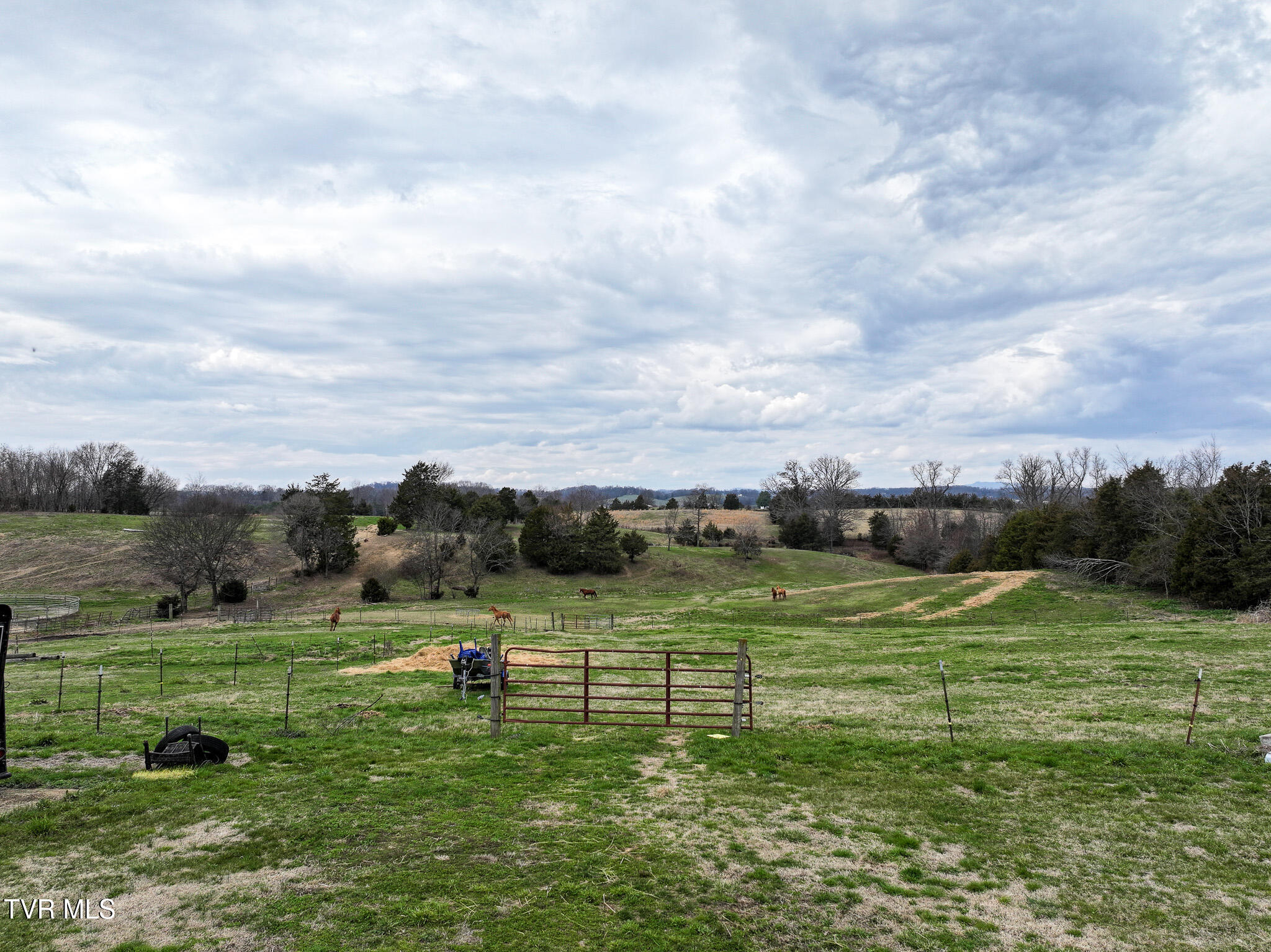 34-37 Culver Road Limestone, TN 37681 - Photo 23 of 25 21