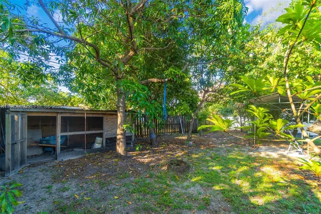 a view of a backyard with palm trees