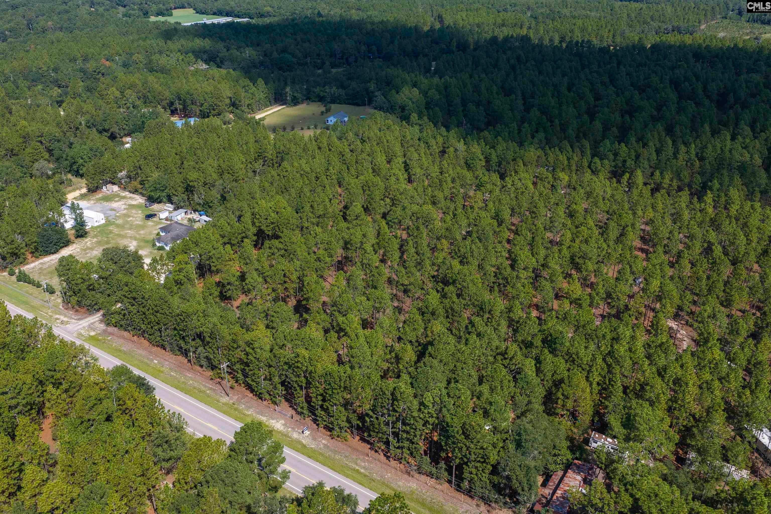Tbd Gantt Mill Road, Unit PARCEL 3 Leesville, SC 29070 - Photo 12 of 16 Gallery Image 12