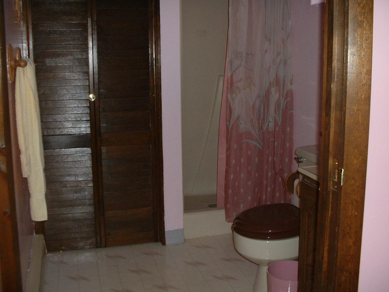 65 Buck Hill Road Blakeslee, PA 18610 - Photo 8 of 16 a bathroom with a sink and toilet