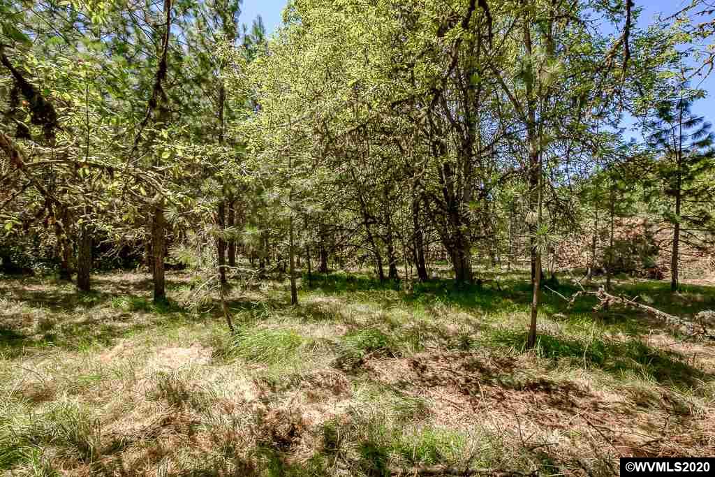 37891 Hungry Hill Road Scio, OR 97374 - Photo 28 of 38