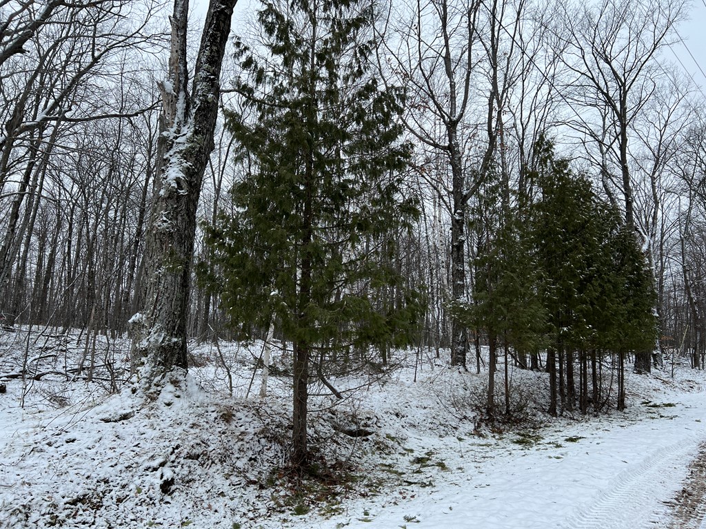 Tbd Juddville Hill Road Fish Creek, WI 54212 - Photo 31 of 31