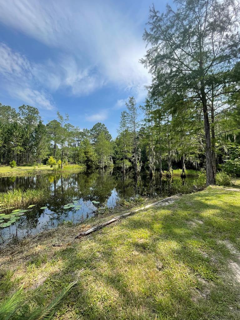 3100 Massee Post Road Adel, GA 31620 - Photo 42 of 47 Gallery Image 42
