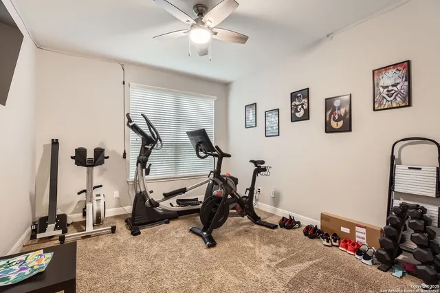 $3,395 | 3814 Sweet Olive, San Antonio, TX 78261