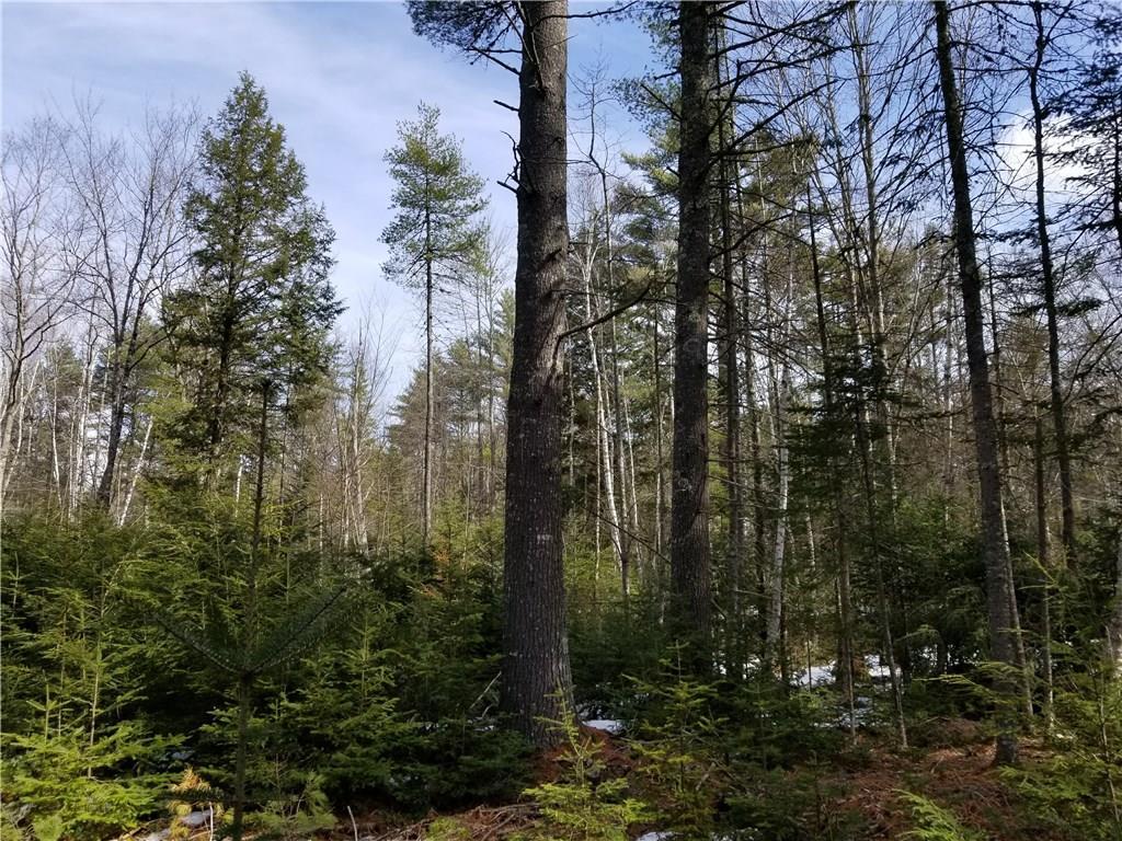 Tbd Tbd Head Tide Hill Road Whitefield, ME 04353 - Photo 7 of 20 Photo