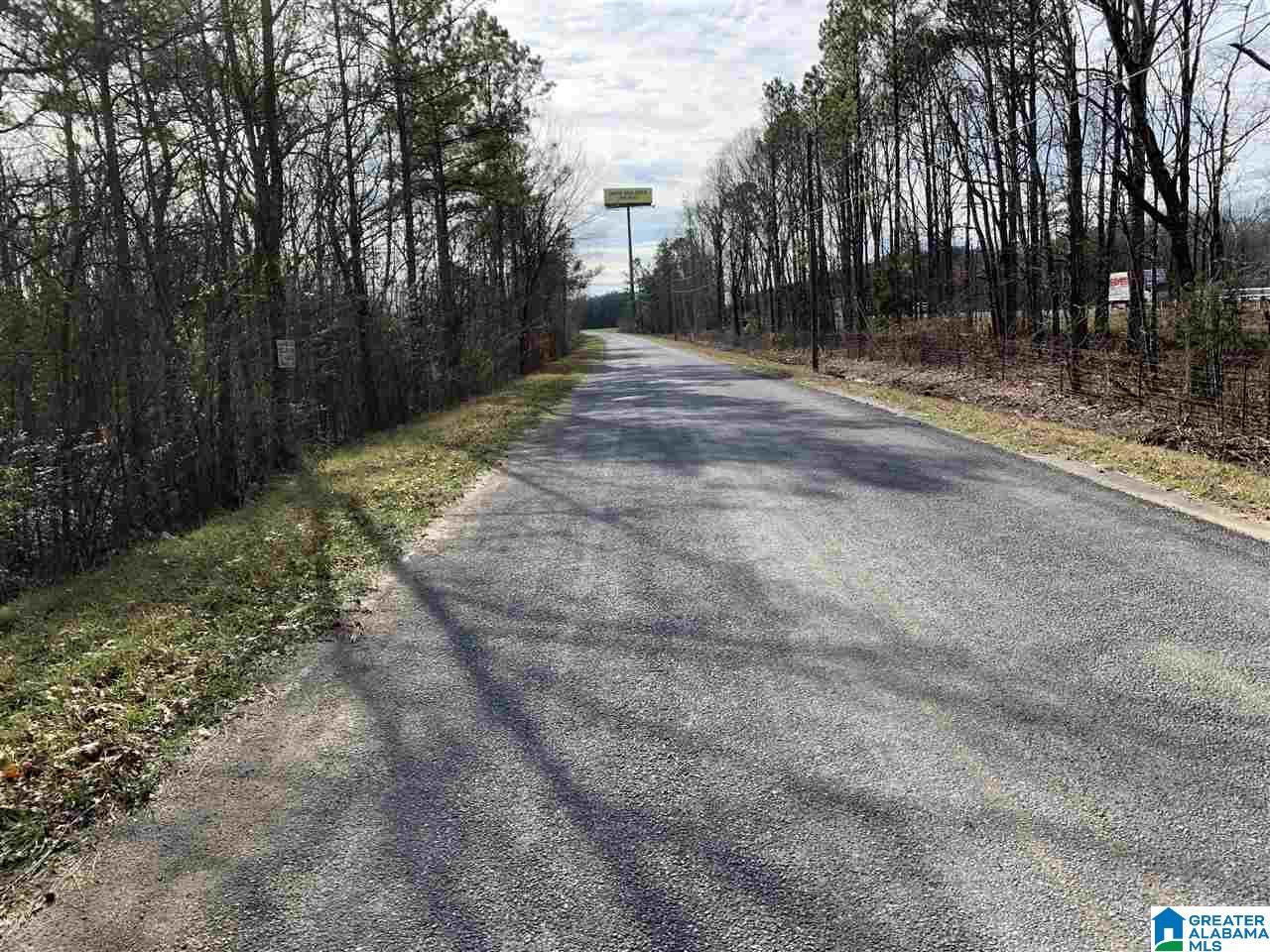 15-acres Crump Road, Unit 15 ACRES Steele, AL 35987 - Photo 7 of 9