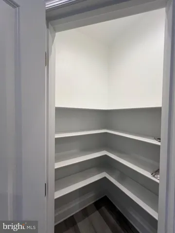 a view of a yard with plants and trees