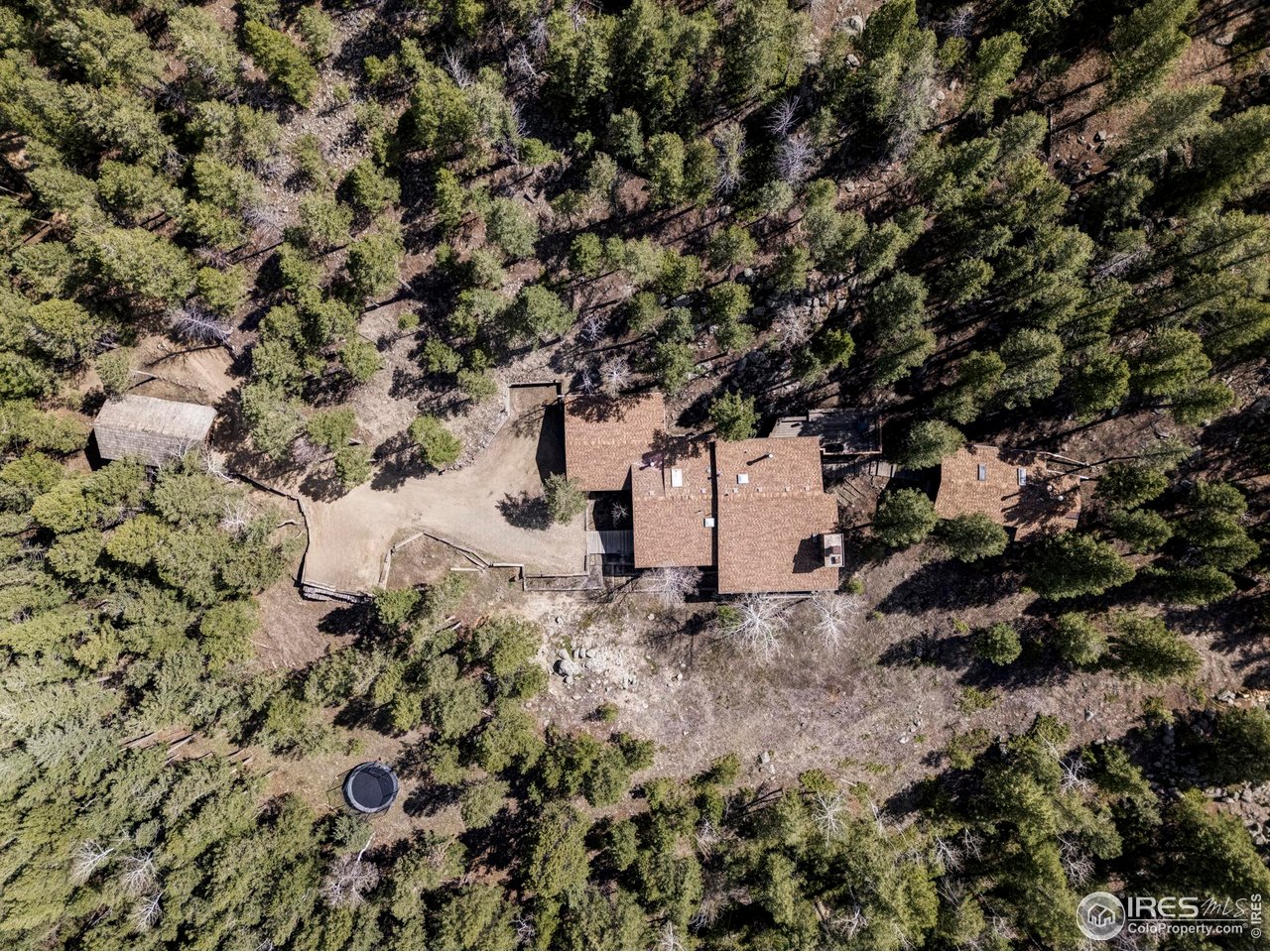 279 Forrest Lane Boulder, CO 80302 - Photo 33 of 36 a view of a tree in a yard