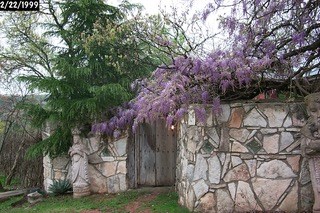 108 Oak Road Fredericksburg, TX 78624 - Photo 6 of 14 a backyard of a house with lots of green space