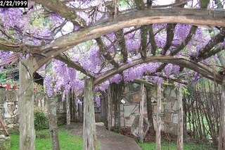 108 Oak Road Fredericksburg, TX 78624 - Photo 7 of 14 a street sign on a sidewalk next to a road